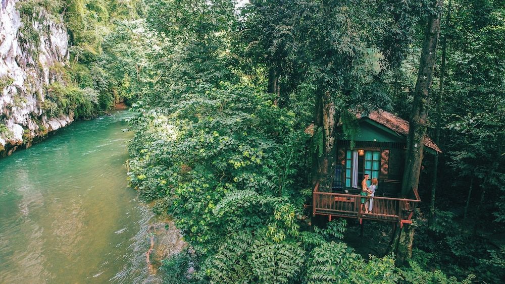 Our Jungle House 1
