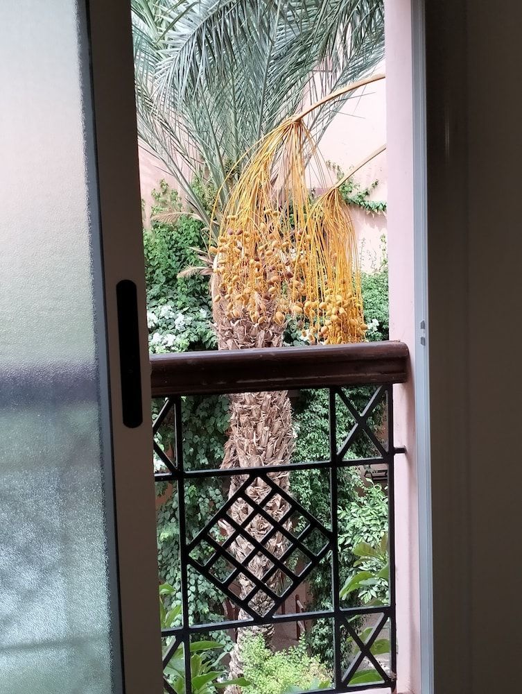 RIAD GREEN LOTUS 2