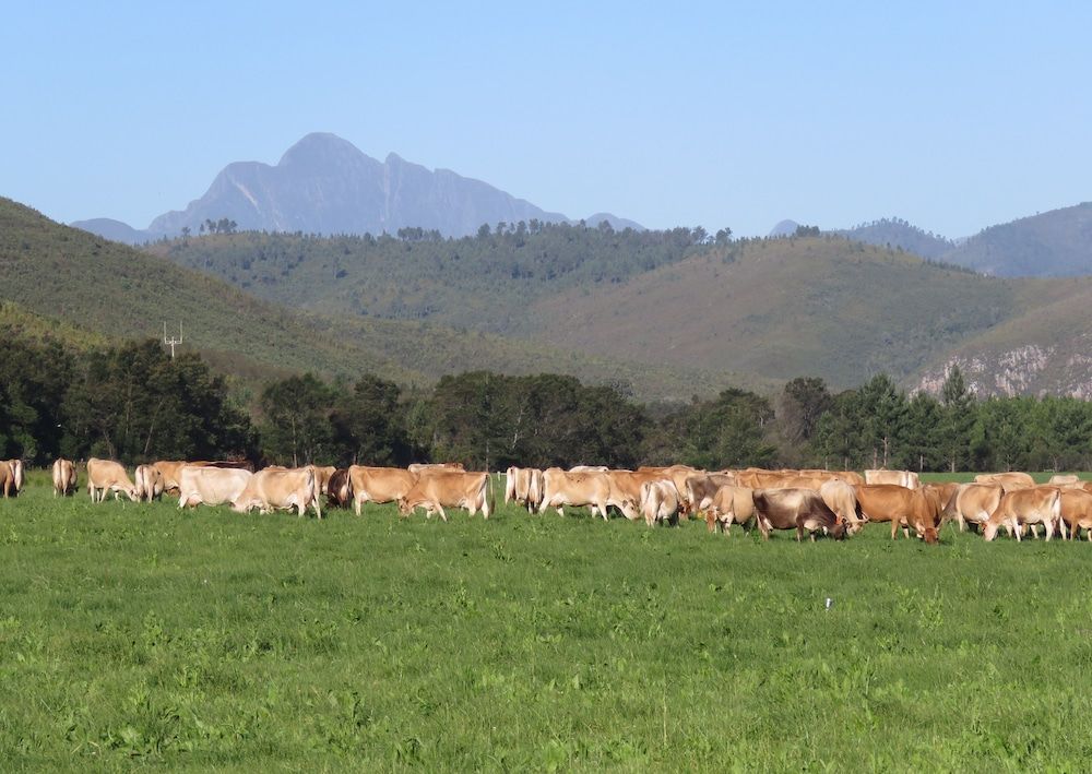 Natures Way Bushbuck Cottage 1