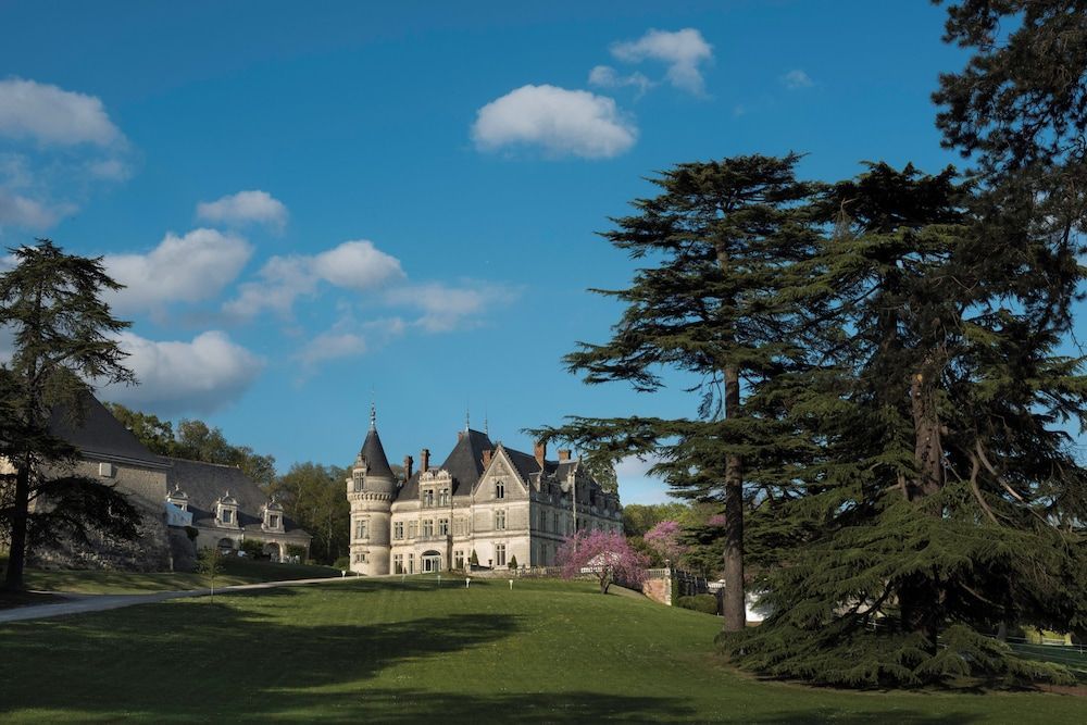 Château De La Bourdaisière 1