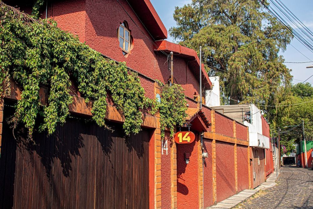 La Casita de Coyoacán 1