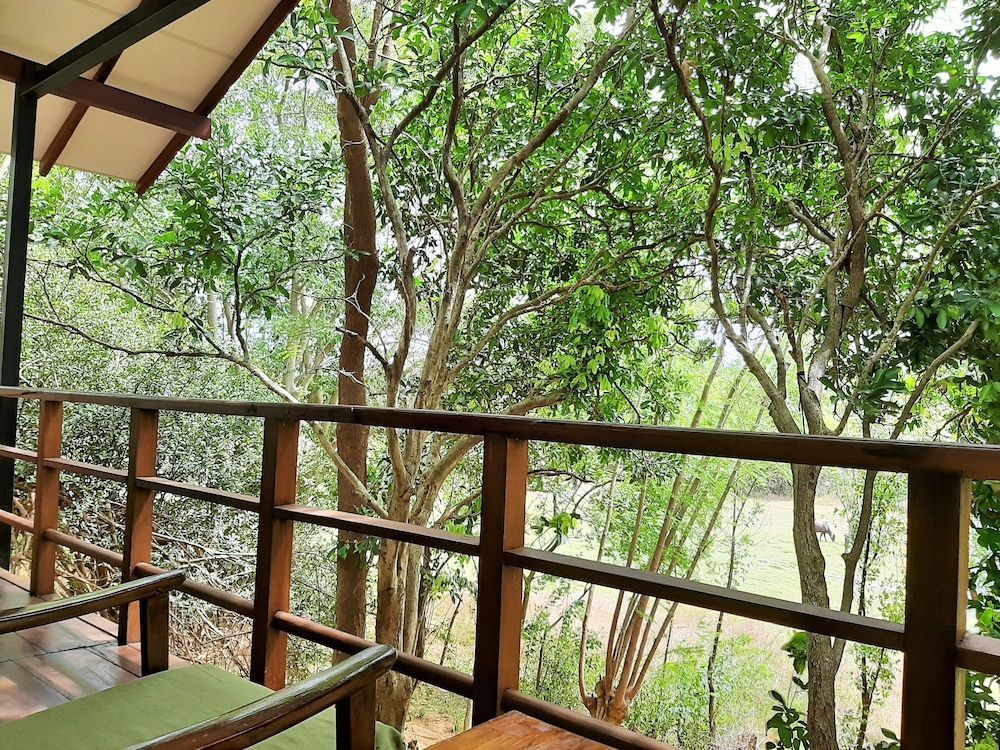 Elephant Lodge 1