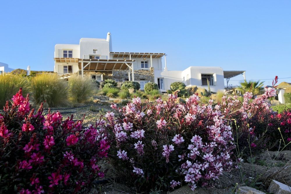Salty Houses 1