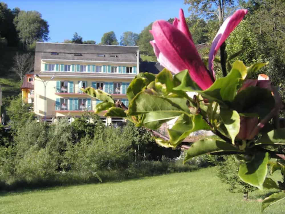 Logis Hôtel - Restaurant Aux Bruyères 1