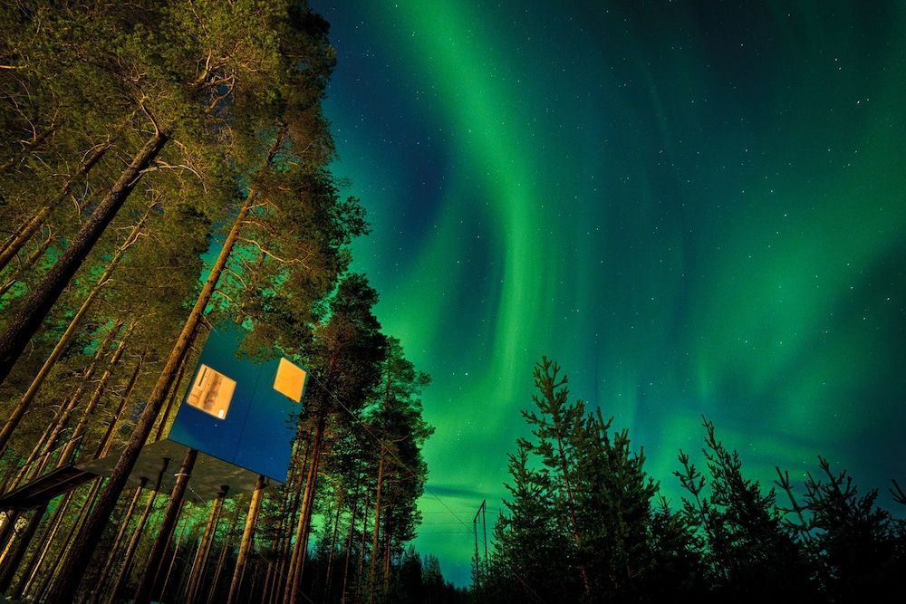 Treehotel 1
