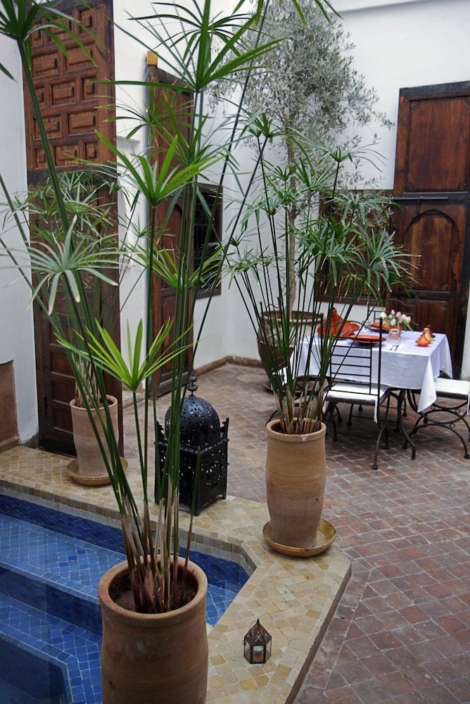 Riad Elixir 2