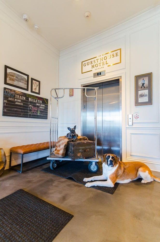 The Guesthouse Hotel 2