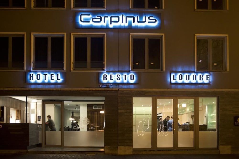 Hotel Carpinus 1