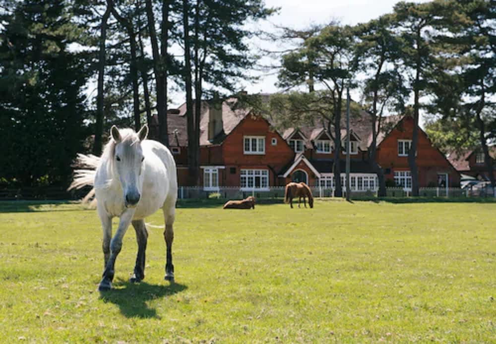 Beaulieu Hotel 1