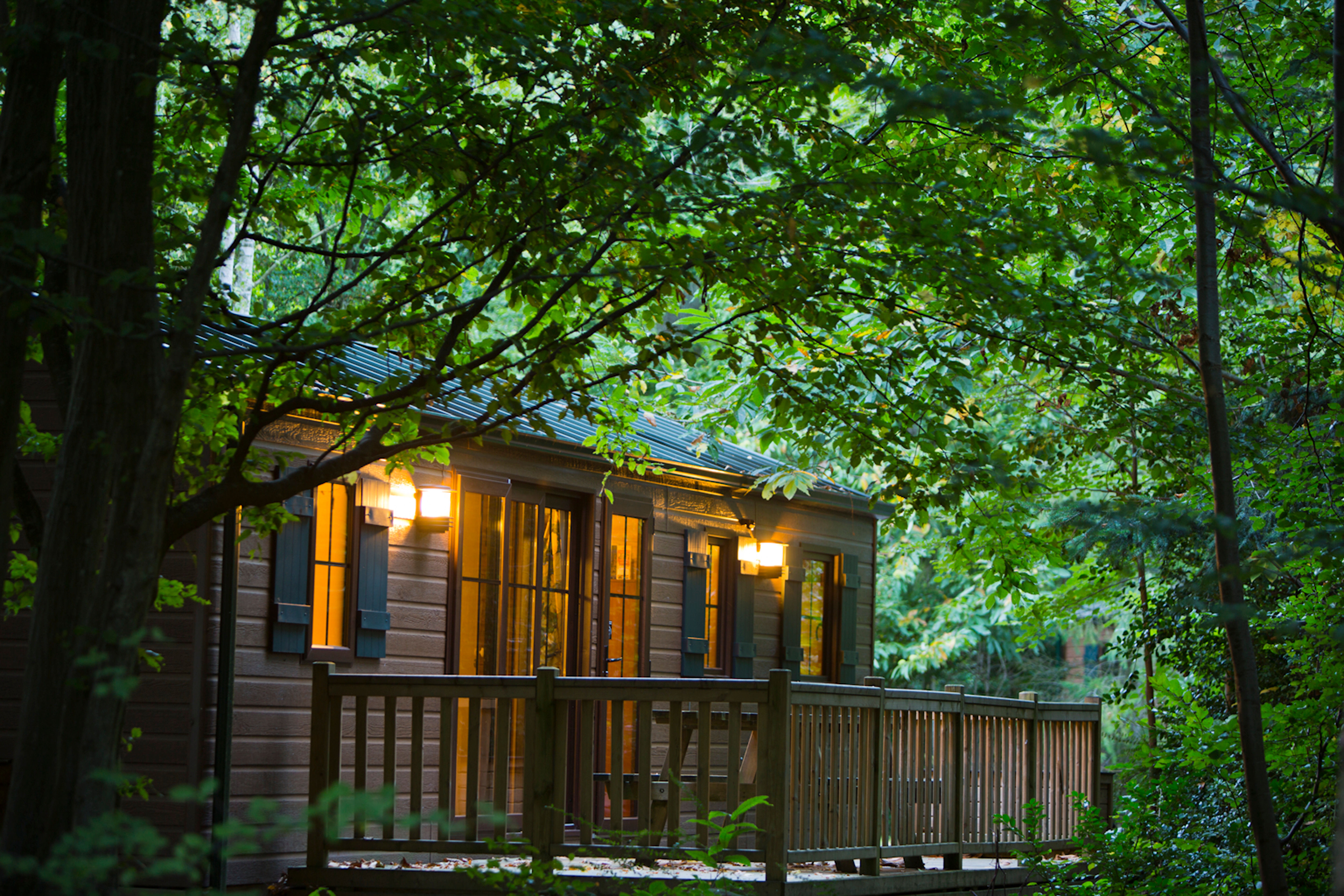 Disney Davy Crockett Ranch + Tickets 1