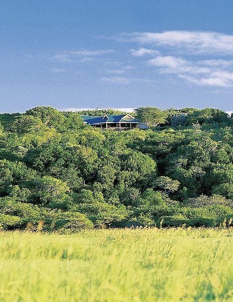 Hluhluwe River Lodge 1