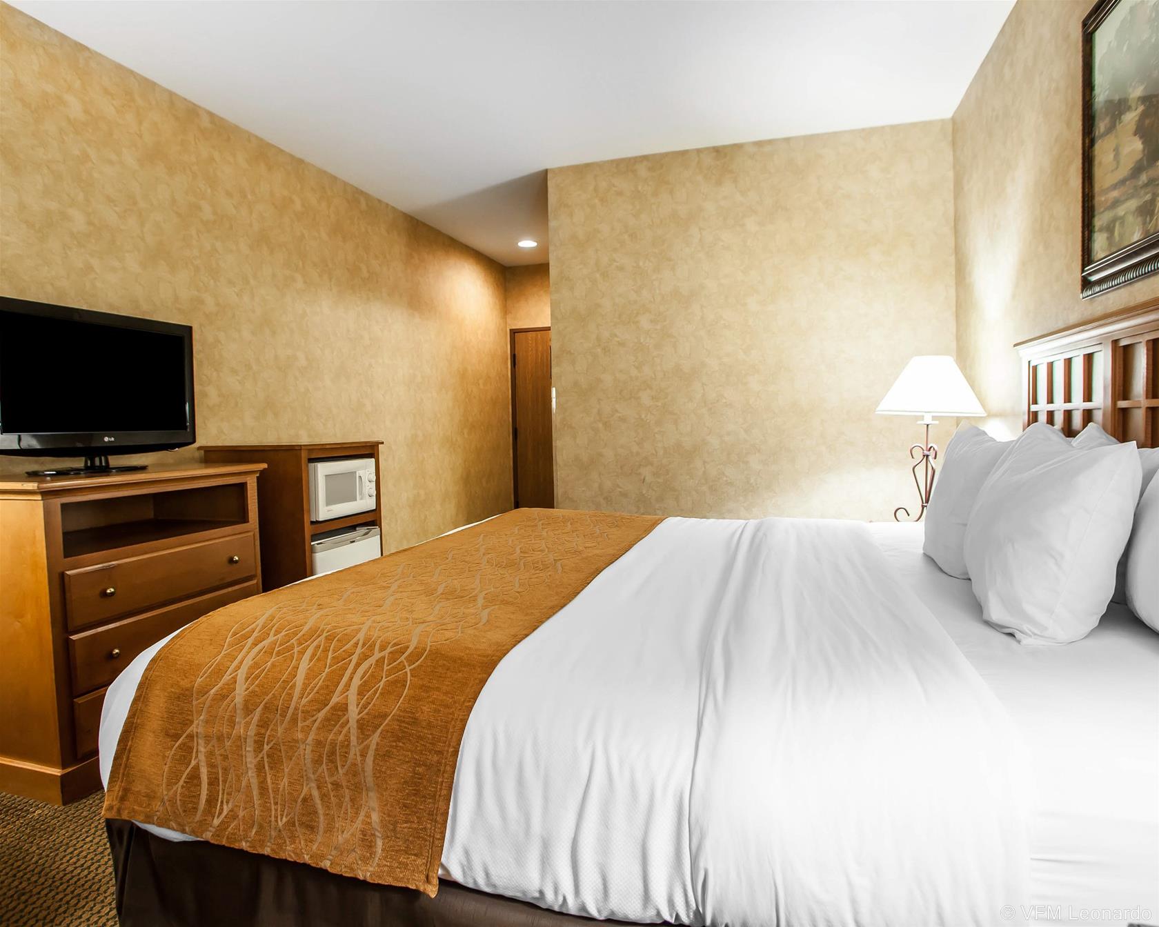 Comfort Inn & Suites Macon 1