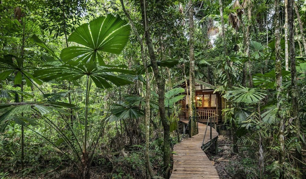 Daintree Wilderness Lodge 1