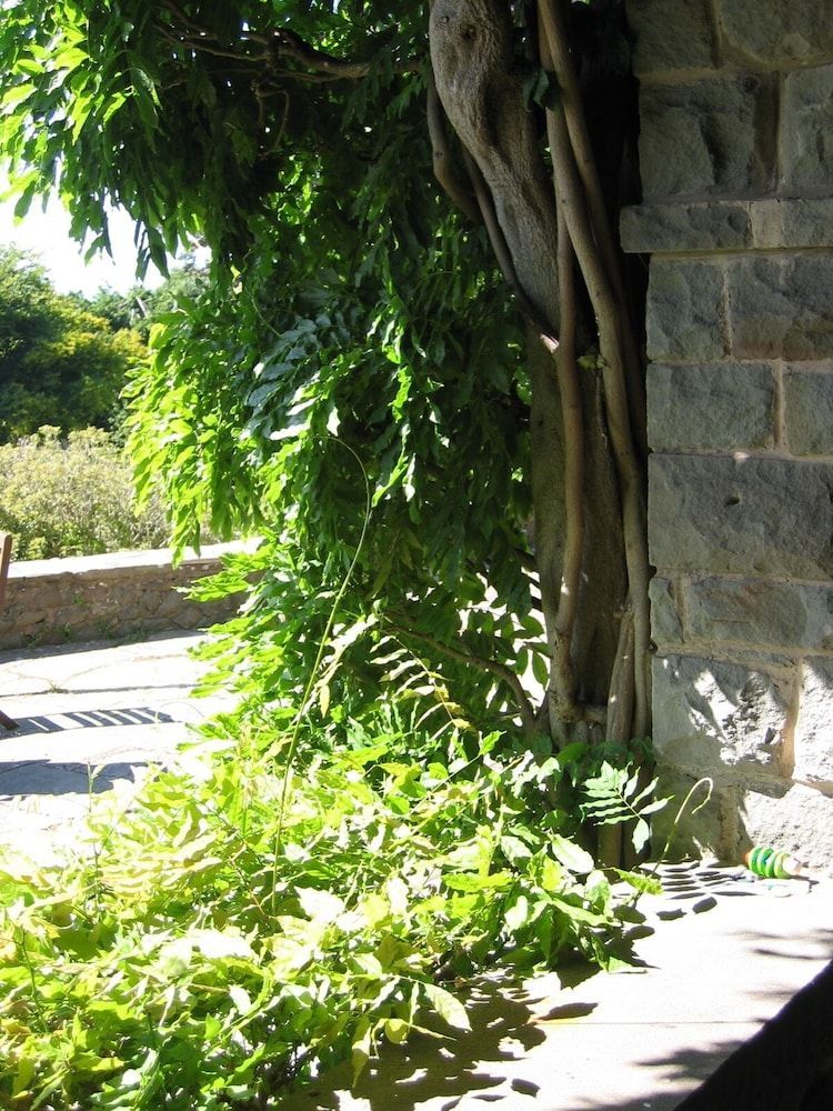 Luxury Bed And Breakfast at Bossington Hall in Exmoor, Somerset 2