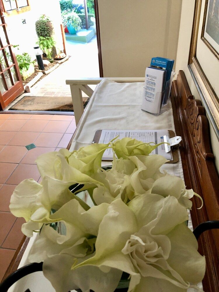 Pelican Lodge Guesthouse 2