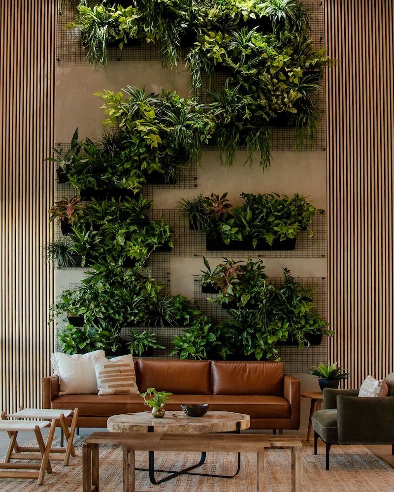 Brut Hotel 2