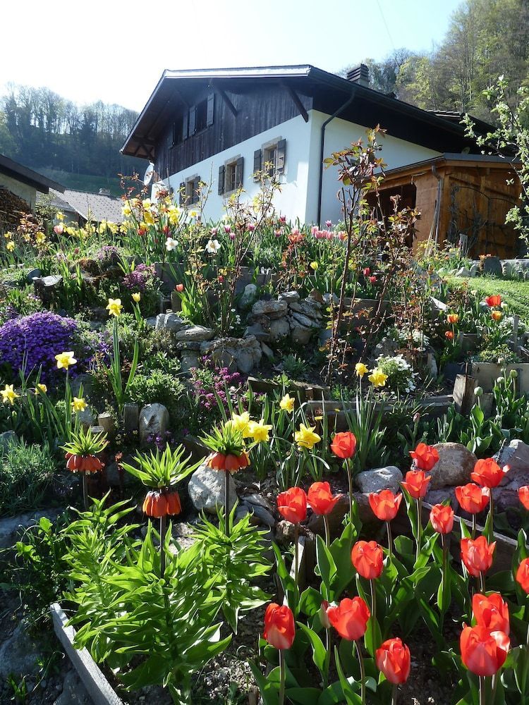 Le Jardin Fleuri 1