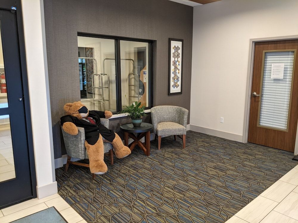 Holiday Inn Express SOUTH BURLINGTON by IHG 2