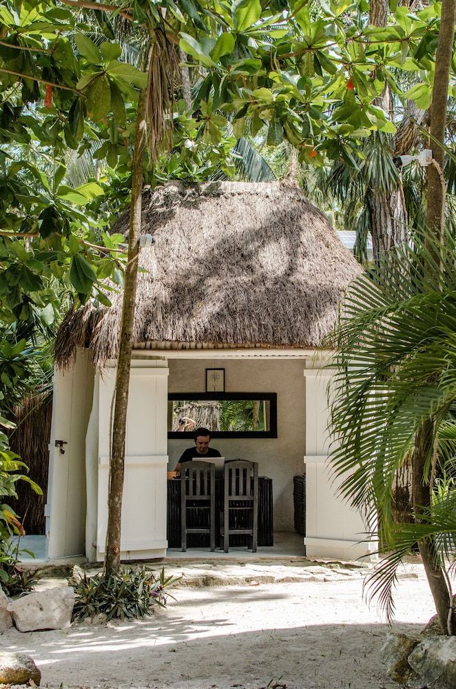 NEST Tulum 2