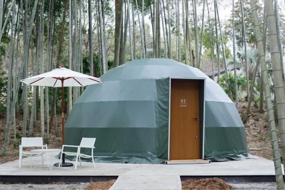 The Bamboo Forest 1