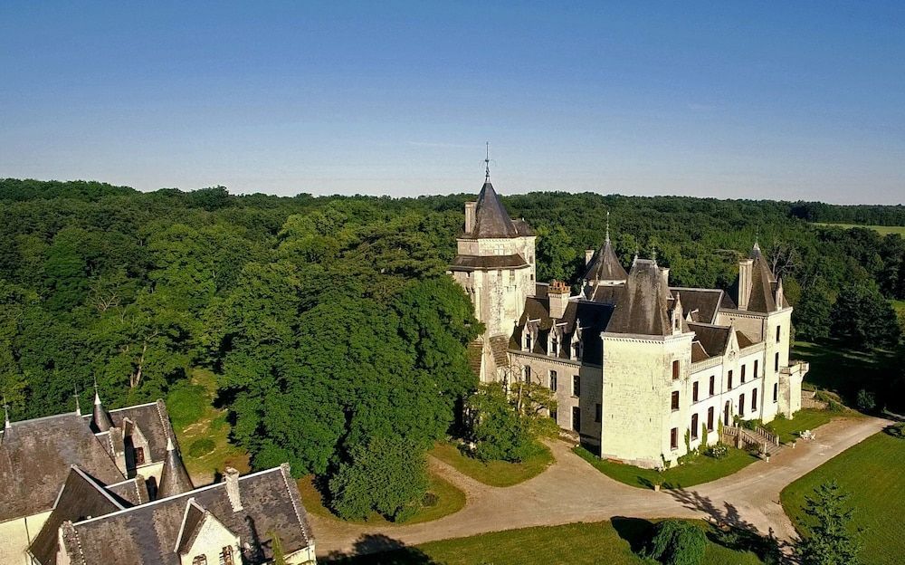Château de Ternay 1