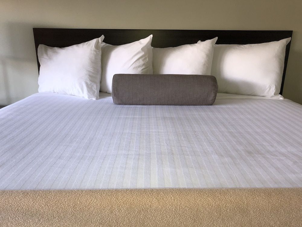 Hotel Elevation 1