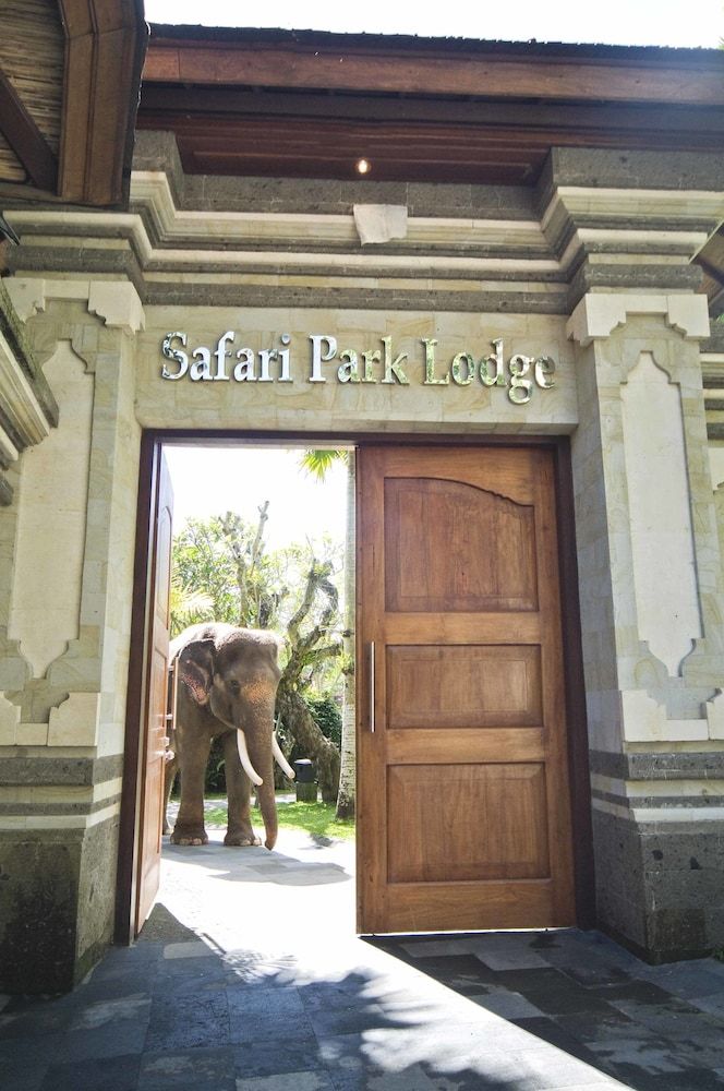 Mason Elephant Lodge 2