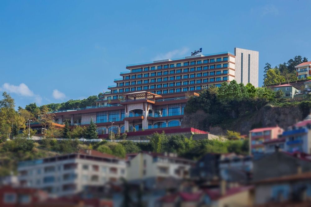 Radisson Blu Hotel Trabzon 1