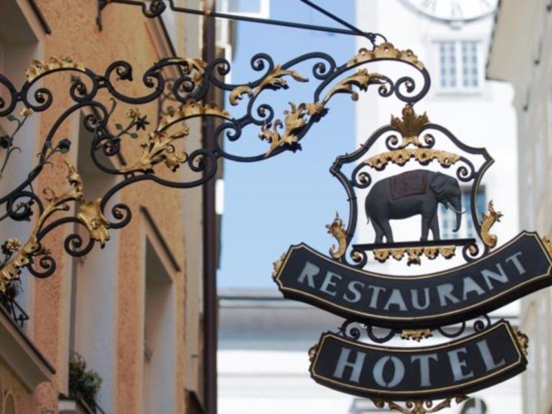 Hotel Elefant 2