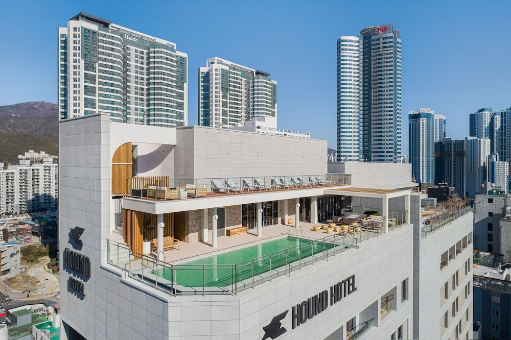 Hound Hotel Haeundae Signature 1