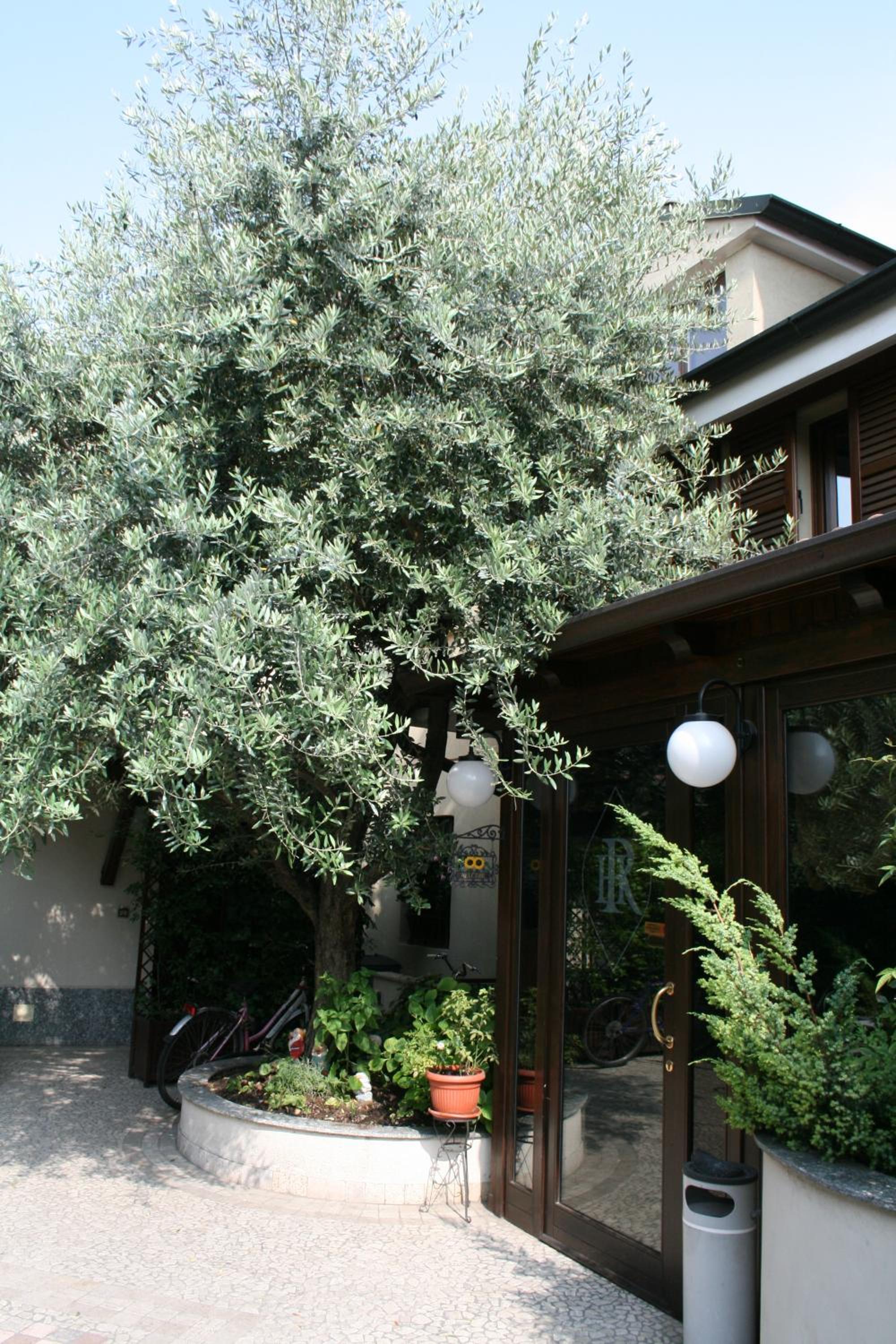 Hotel Rocco 2