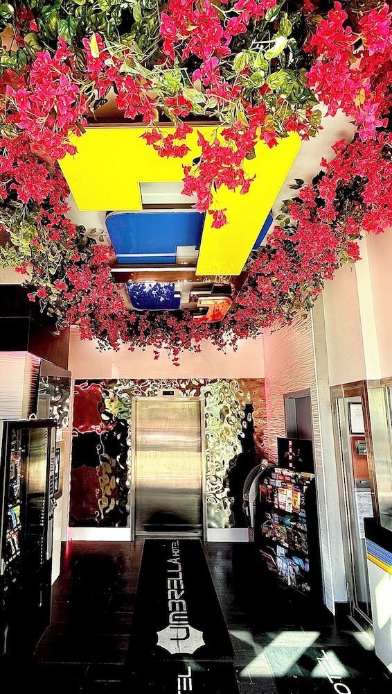Umbrella Hotel Bronx 1