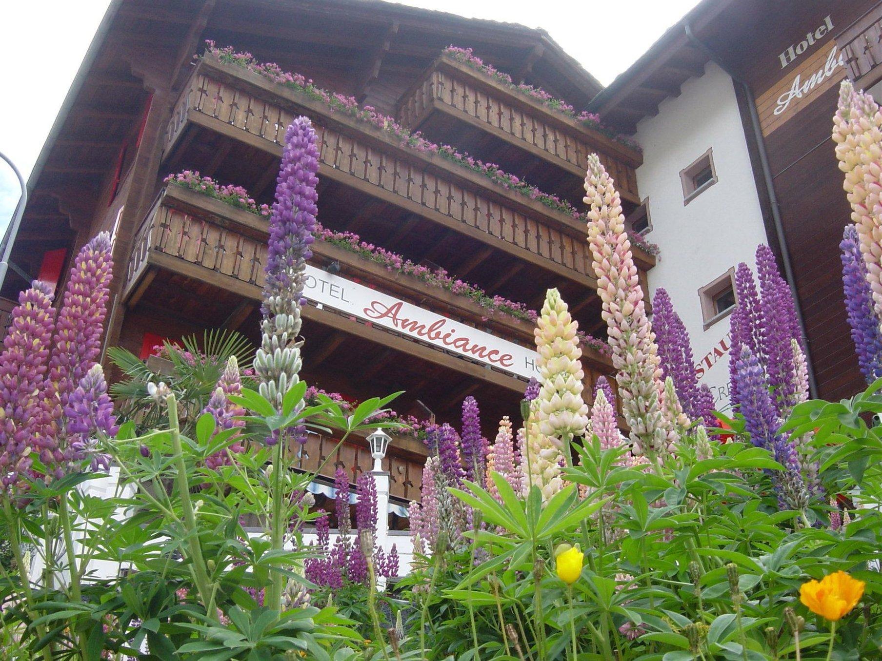Hotel AMBiANCE 2