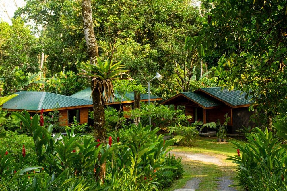 Eden Organic Farm & Bungalows 1