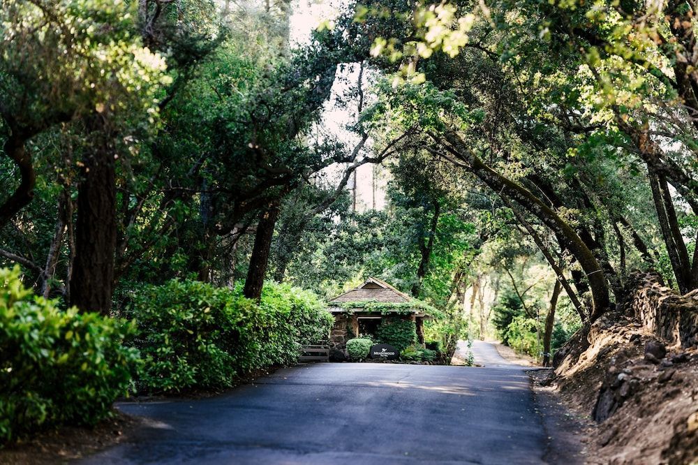 Meadowood Napa Valley 1