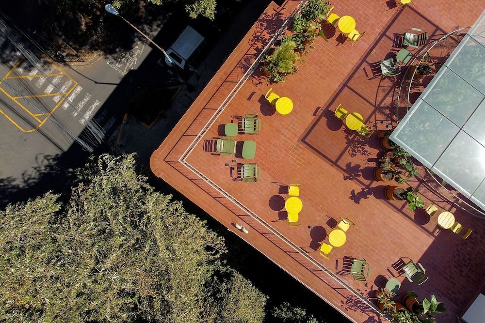 Nido Condesa 1