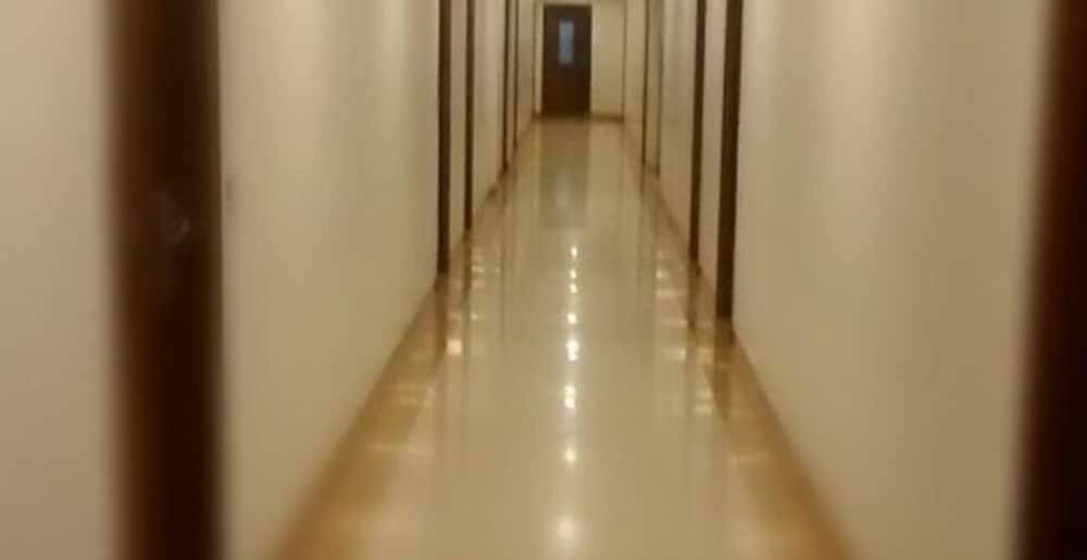 Hotel Apex Inn 2