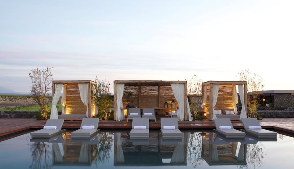 The Vines Resort & Spa 1