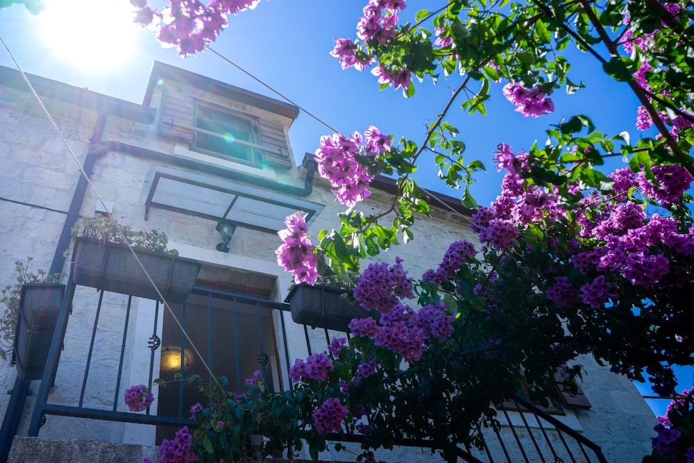 Villa Marino 1