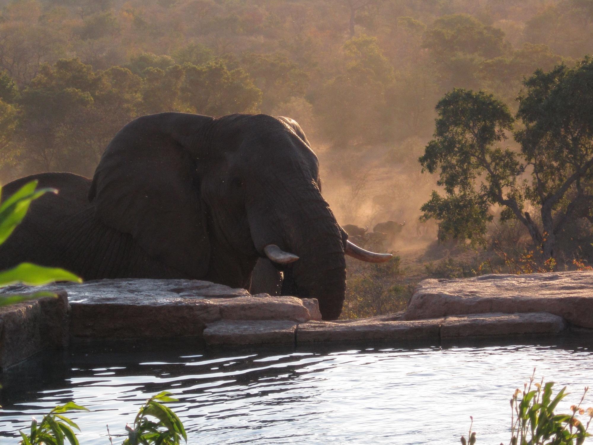 Makumu Private Game Lodge 1