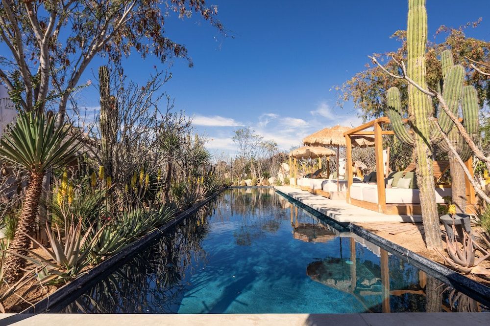 El Perdido Desert Dream- Todos Santos Adults Only 1