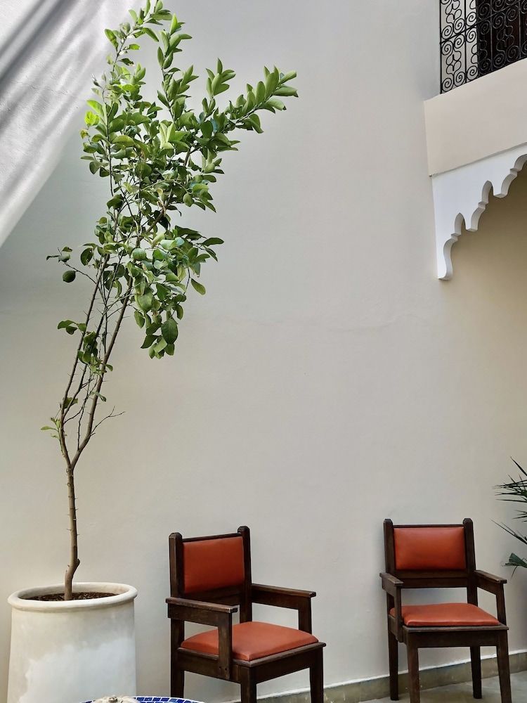 Riad Imndi 1