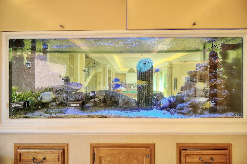 HAVRE DE PAIX" 5 étoiles Prestige jacuzzi, hammam, sauna, PISCINE chauffée Mougins Cannes Grasse 2