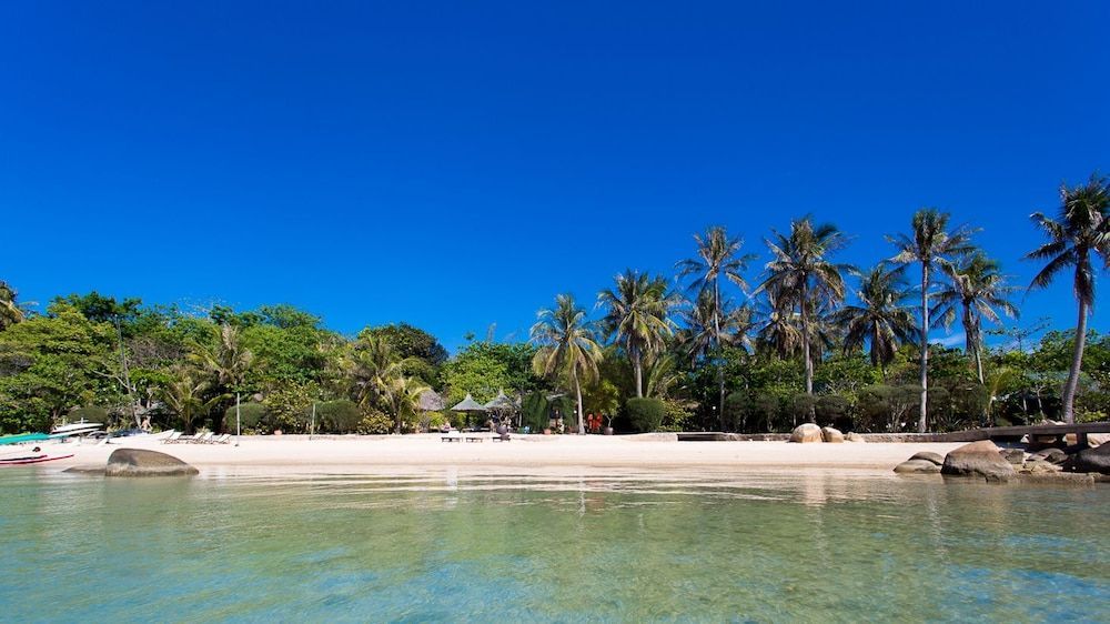 Whale Island Resort 2