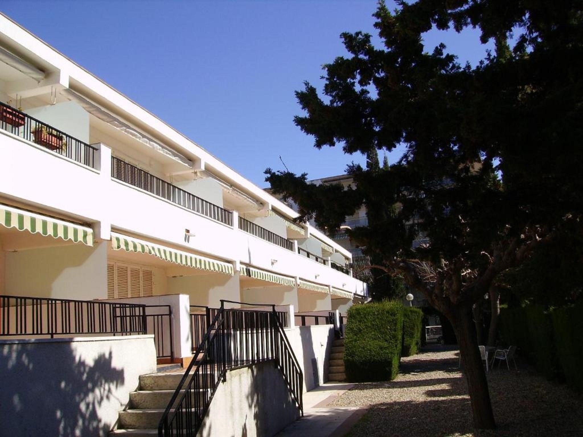 Rentalmar Felix 2