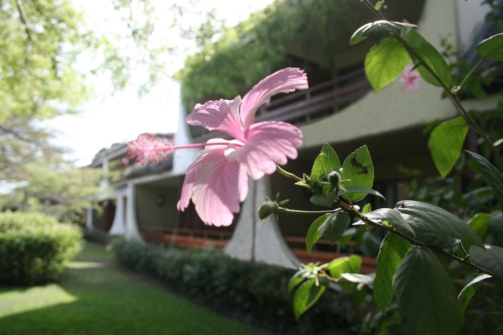 Hotel Club du Lac Tanganyika 1