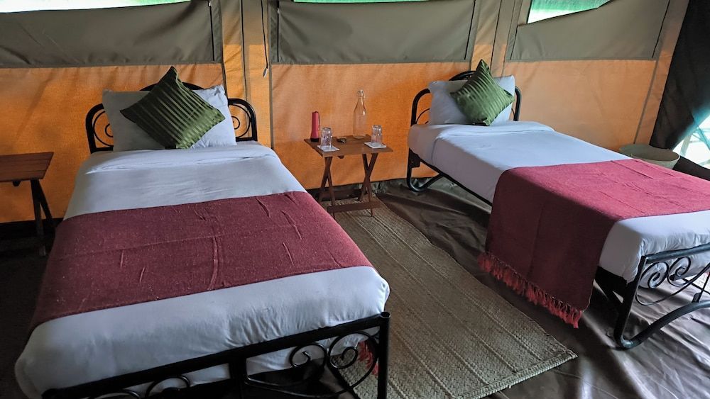 Julia's River Camp 2