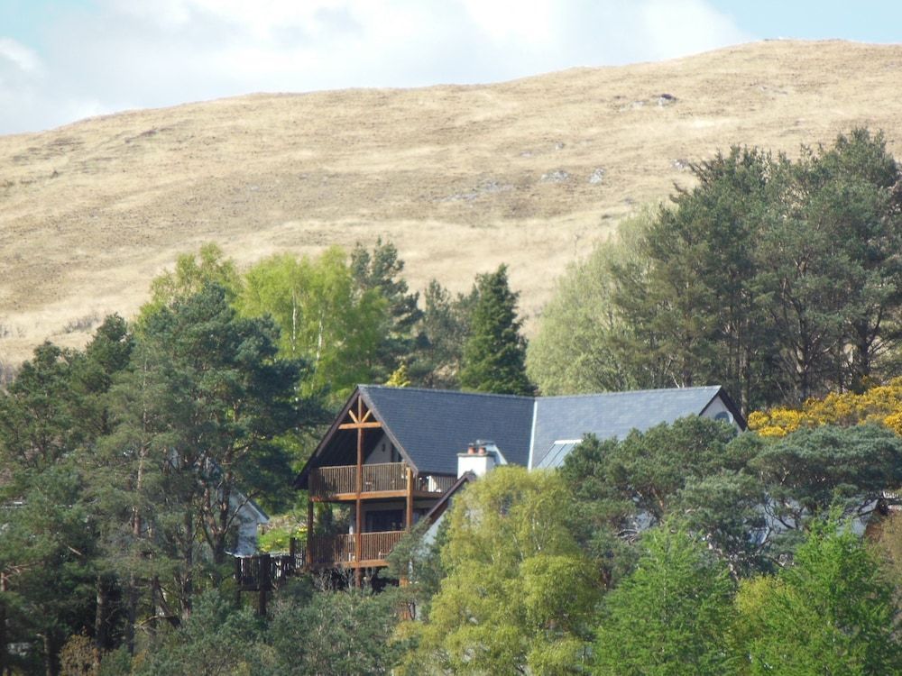 Treetops B&B 1