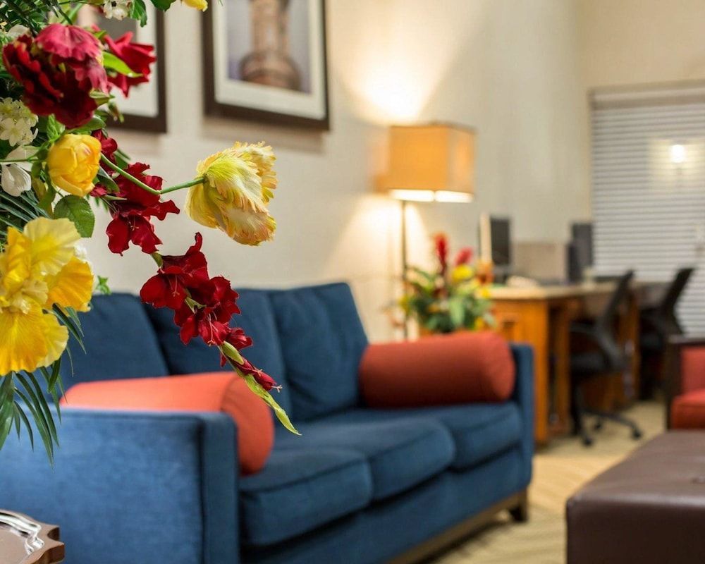 Comfort Suites Cumming-Atlanta near Northside Hospital Forsyth 1