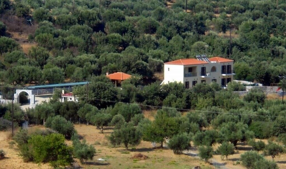 Domaine Papakonstantis 1